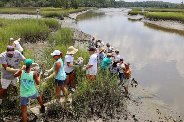 IMG_2185-1-scaled-e1750256834688